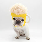 Dog Cosplay Hat Transformed into Beer Hat