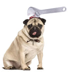 Tricky Props Halloween Pet Headdress Hat