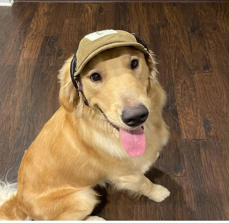 Breathable Sports Sunscreen Hat for Dogs